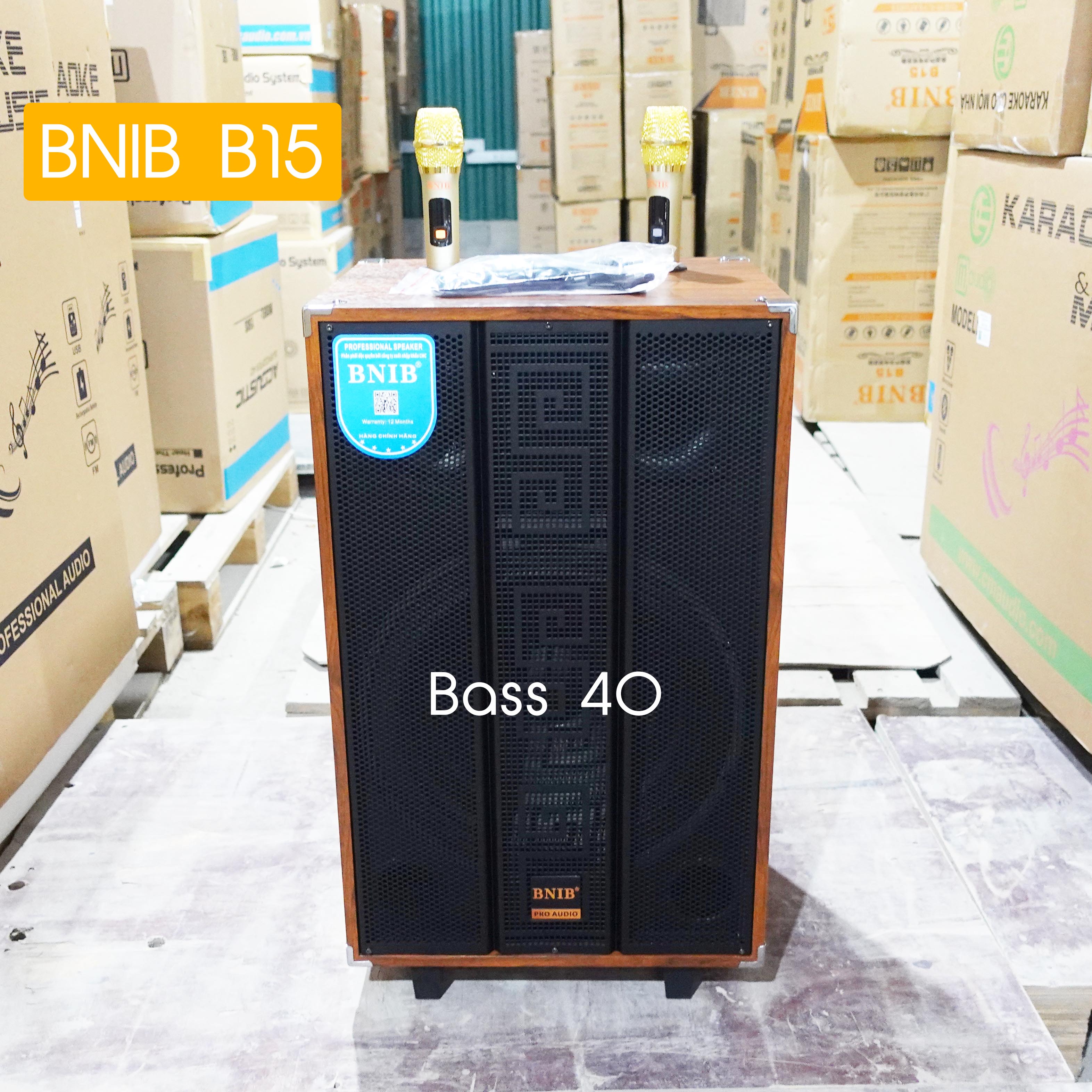 Loa kéo BNIB B15 Bass 40 3 đường tiếng vỏ gỗ sang trọng , 9 núm chỉnh âm thanh, tặng kèm 2 tay mic không dây sóng UHF